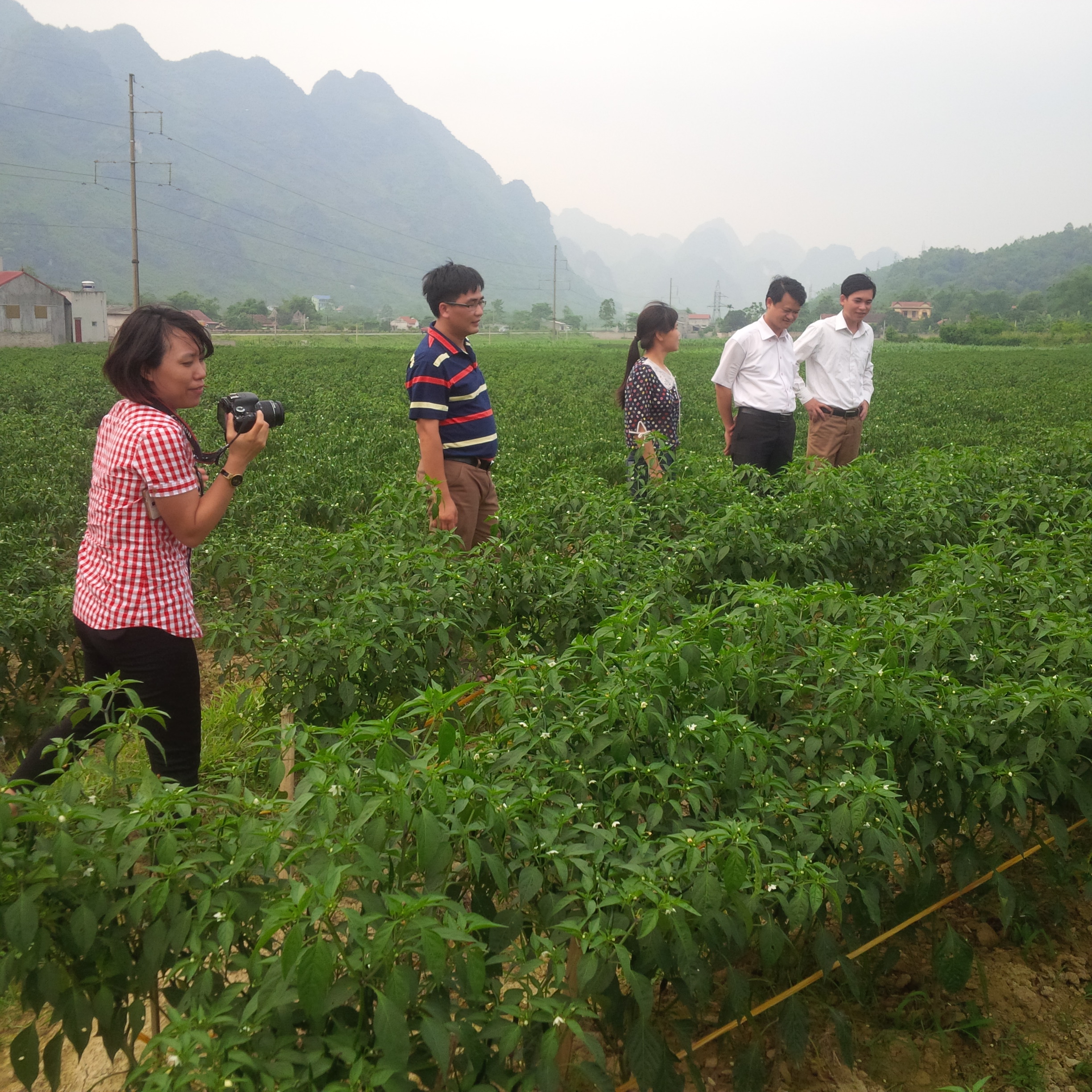 Tăng cường hỗ trợ nông dân tận dụng tốt cơ hội từ hội nhập