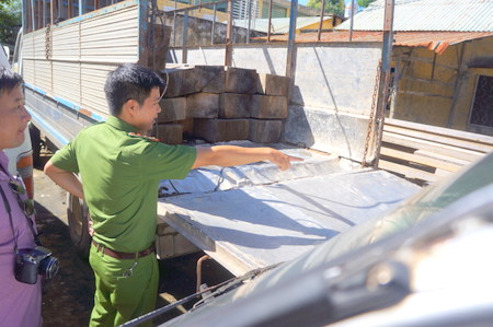 Quảng Nam Tăng cường chống vận chuyển lâm sản trái phép trên địa bàn