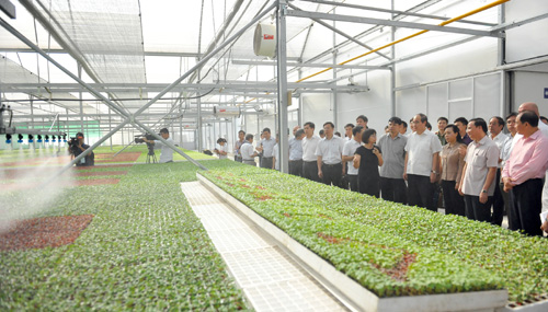 Giám sát an toàn thực phẩm cần dựa vào sức mạnh của nhân dân