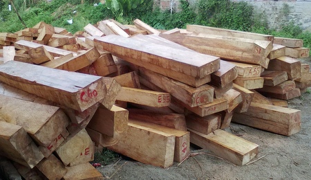 Quảng Nam Phát hiện vụ phá rừng tại vùng biên giới với Lào