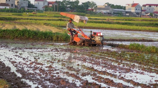 Hoa Lư phấn đấu trở thành huyện nông thôn mới đầu tiên của tỉnh Ninh Bình
