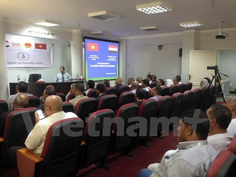 Tăng cường hợp tác kinh tế - thương mại giữa Việt Nam và Ai Cập