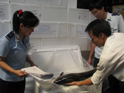 Điều kiện kinh doanh tạm nhập, tái xuất hàng thực phẩm đông lạnh