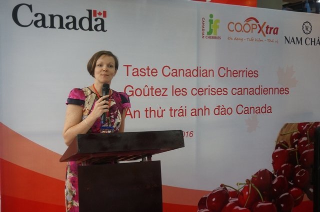 Trái anh đào Canada lần đầu tiên vào thành phố Hồ Chí Minh