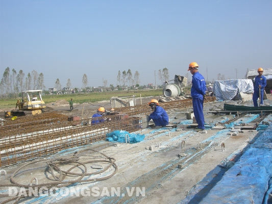 Chỉ hình sự hoá hành vi trốn đóng BHXH với những doanh nghiệp cố tình chây ì