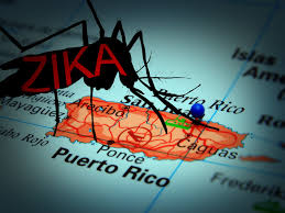Puerto Rico Khoảng 200 000 người có thể nhiễm virus Zika
