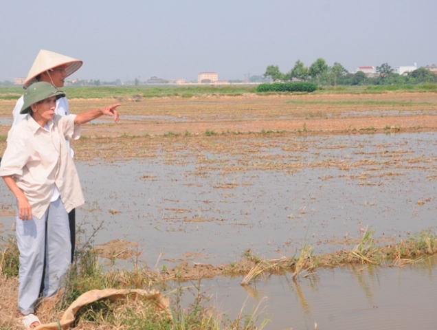 Ngân hàng Thế giới hỗ trợ Việt Nam cải thiện tính hiệu quả và minh bạch trong quản lý đất đai