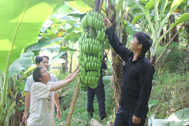 Tuyên Quang Phát huy vai trò của tiểu giáo viên trong hướng nghiệp cho nông dân