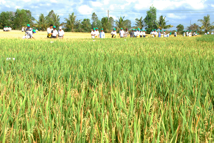 Hội Nông dân tỉnh Giúp hội viên, nông dân tiếp cận và áp dụng khoa học - công nghệ vào sản xuất