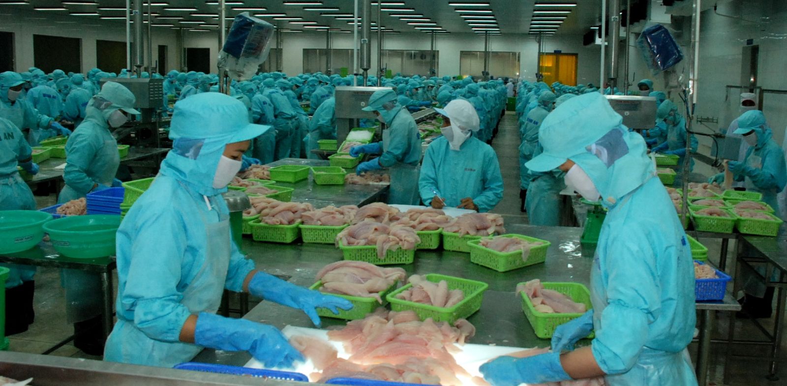 Cơ hội gia tăng xuất khẩu thuỷ sản khi tham gia TPP