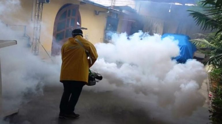 Peru ban bố tình trạng khẩn cấp tại 11 bang vì virus Zika