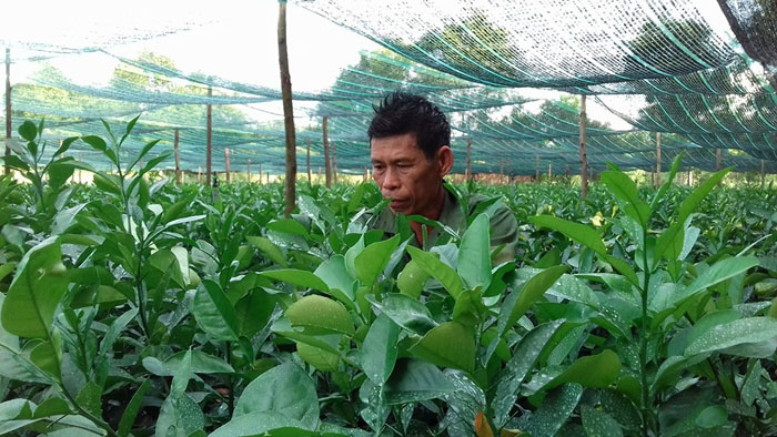 Người nông dân vượt khó làm giàu