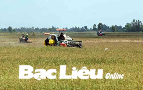 Hướng đi nào cho tổ hợp tác, hợp tác xã