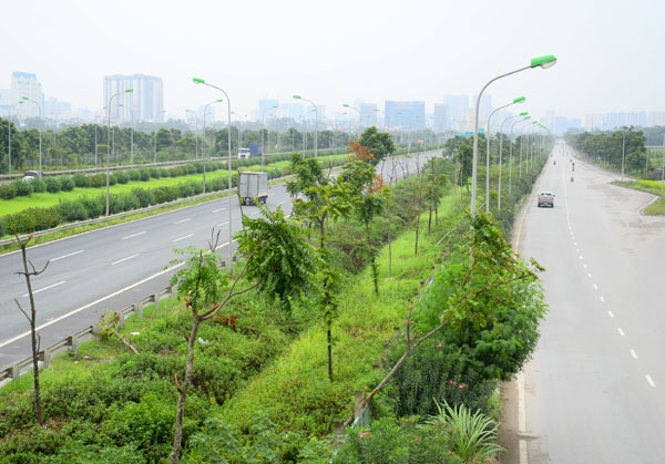 Chi phí cắt cỏ ở Đại lộ Thăng Long Nói ra nhiều người sẽ giật mình