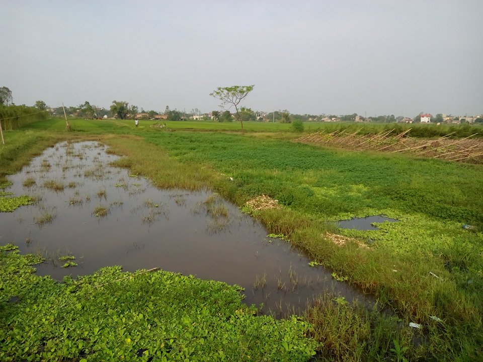 Bố nạn nhân 23 năm kêu oan cho hung thủ