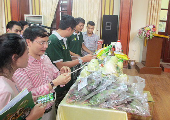 Hà Nội sẽ ứng dụng cách thức truy xuất nguồn gốc nông sản bằng điện thoại