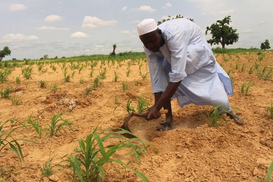 Người dân Đông Bắc Nigeria cần được hỗ trợ khẩn cấp để sản xuất lương thực