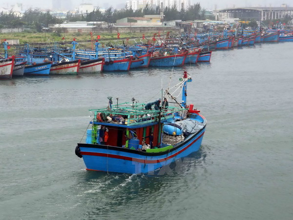 Quảng Ngãi Nổ bình gas trên tàu cá, 2 người thương vong