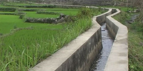 Tiếp tục thanh tra việc sử dụng thủy lợi phí tại Hải Phòng