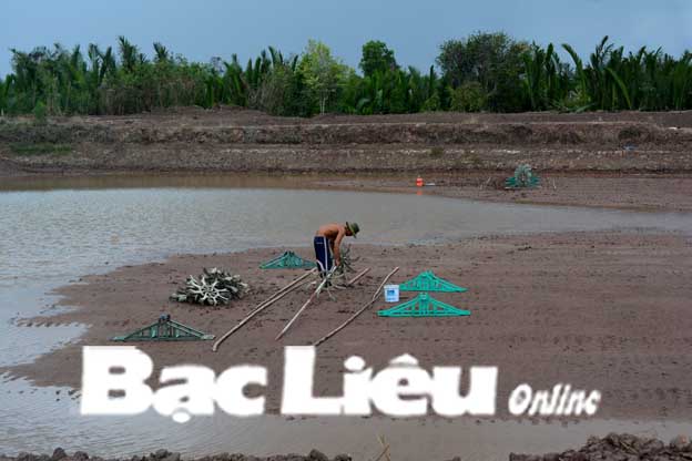 TP Bạc Liêu Nông dân cải tạo ao nuôi tôm gắn với bảo vệ môi trường