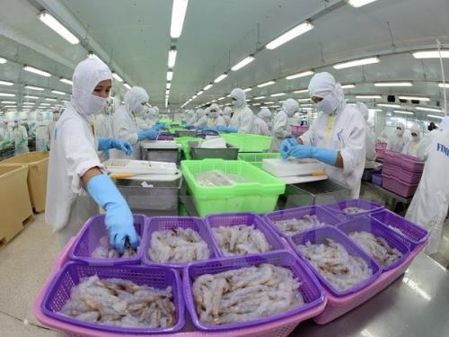 Bộ Thương mại Hoa Kỳ ban hành kết quả sơ bộ đối với sản phẩm tôm Việt Nam