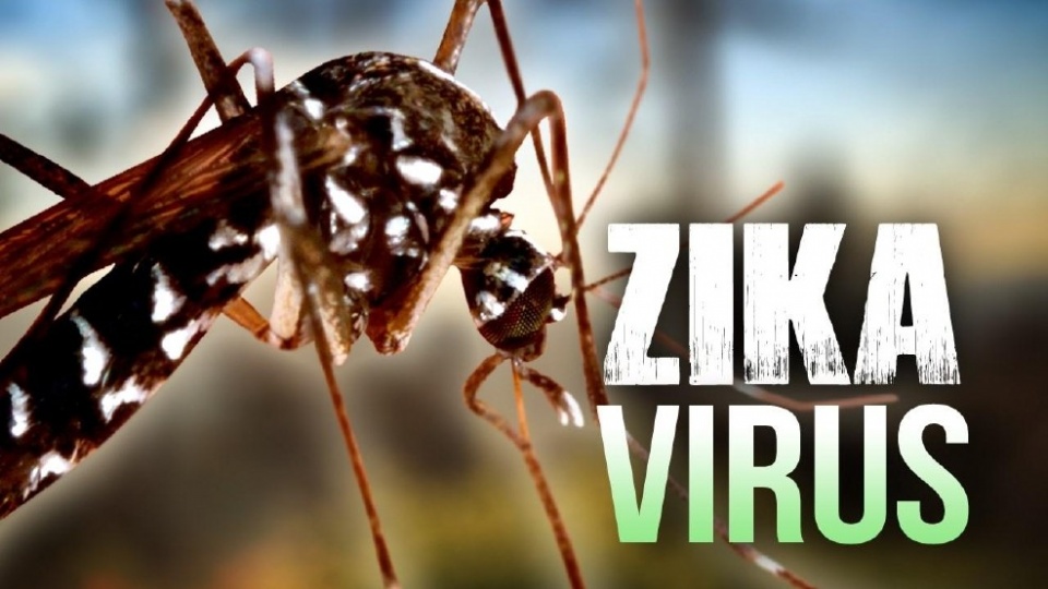 Đông Nam Á cần một chiến lược y tế toàn diện đối phó với Zika