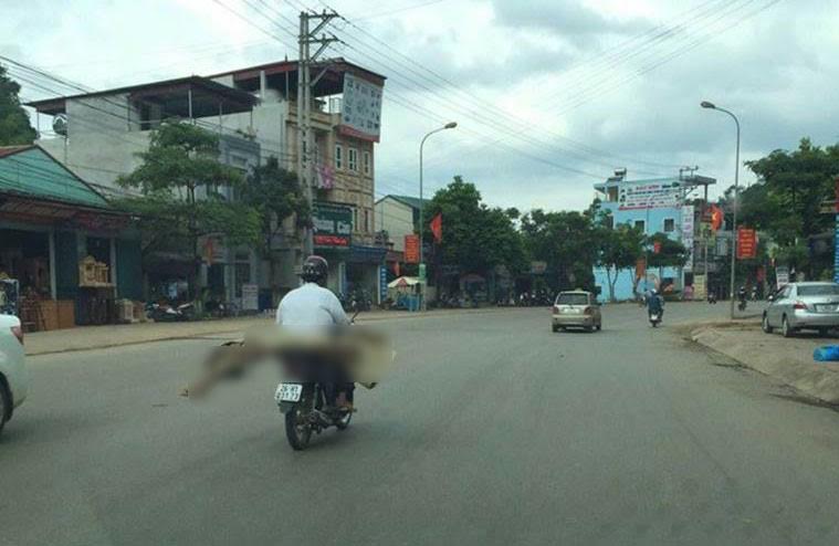Nghĩ về chuyện sinh tử