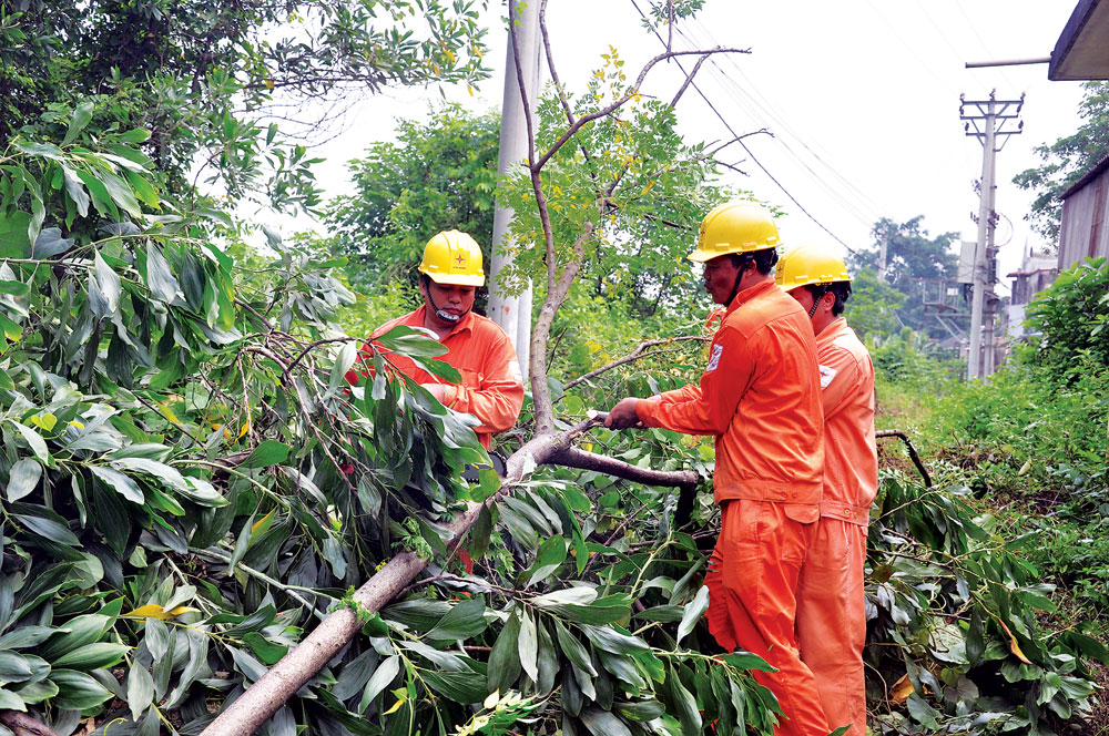 Xử lý vi phạm hành lang bảo vệ an toàn lưới điện còn lắm chông gai