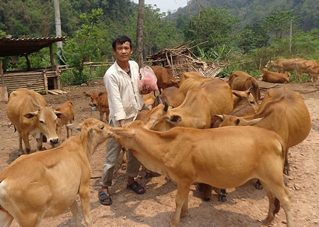Hội Nông dân tỉnh Lào Cai – “người bạn” thân thiết của nông dân