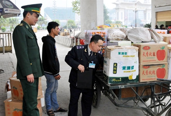 Cải cách toàn diện kiểm tra chuyên ngành hàng hóa xuất nhập khẩu