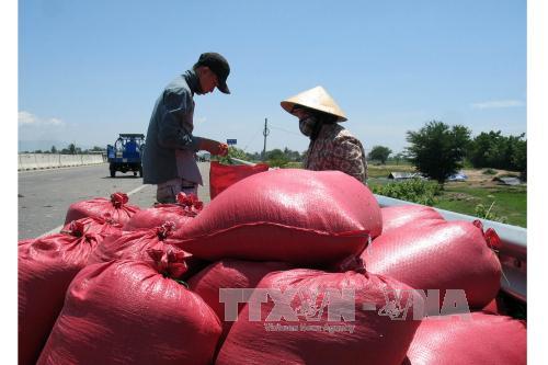 Nền kinh tế Việt Nam tiếp tục vận hành tốt, mặc dù thách thức đang gia tăng