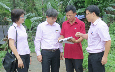 Bắc Kạn “Cầu nối” giúp Suối Hón thoát cái nghèo