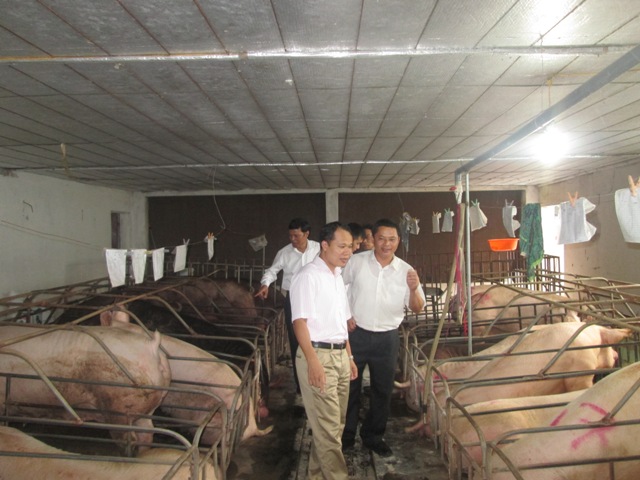 Bắc Giang Nâng cao hiệu quả sản xuất nông nghiệp nhờ ứng dụng khoa học kỹ thuật