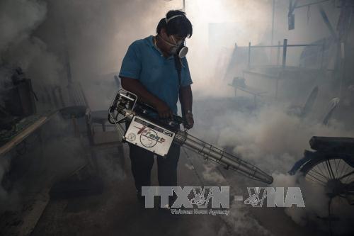 Thái Lan xác nhận 2 trẻ sơ sinh đầu nhỏ liên quan đến Zika