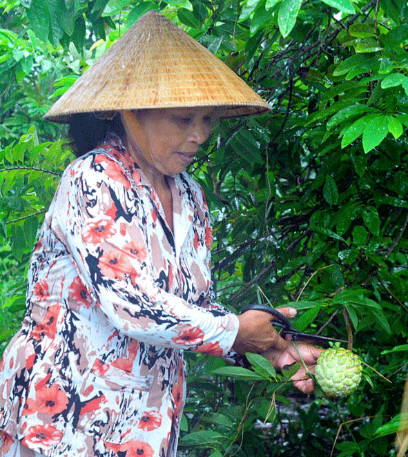 Những phụ nữ Khmer sản xuất giỏi