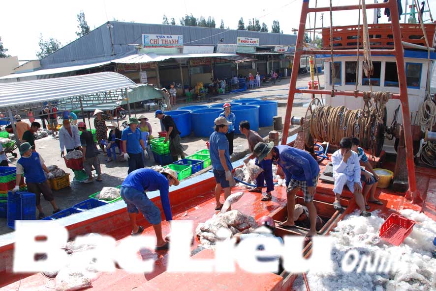 Khai thác, đánh bắt thủy hải sản Vay vốn lưu động còn gặp khó