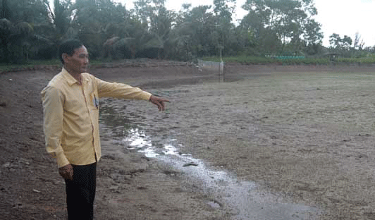 Vụ lúa trên đất tôm Nông dân hoàn thành việc xuống giống