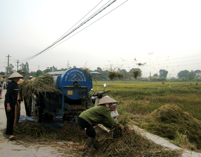 Tăng cường vốn tín dụng cho nông nghiệp nông thôn
