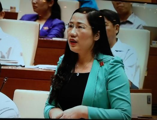 Quốc hội thảo luận về dự án Luật sửa đổi, bổ sung một số điều của Bộ luật Hình sự