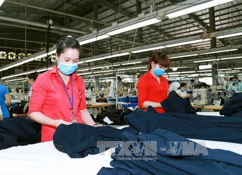 Cơ hội và thách thức của doanh nghiệp Việt Nam sau khi FTA với EAEU có hiệu lực