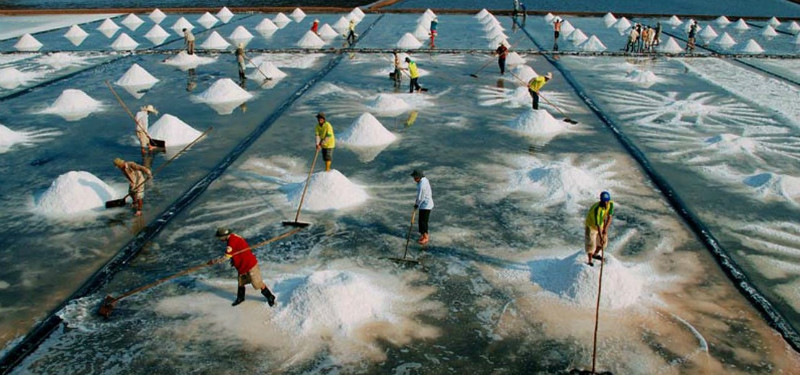 Đột phá cho ngành “công nghiệp không khói” Bạc Liêu