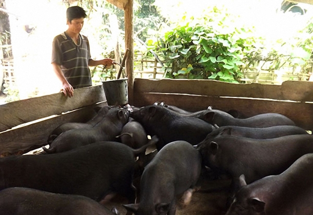 Yên Thế Bắc Giang  Hội viên nông dân tích cực thi đua lao động sản xuất kinh doanh giỏi