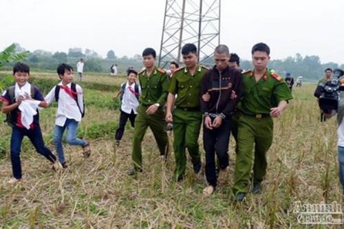 Tăng cường kiểm tra và giám sát bảo vệ an toàn lưới điện cao áp