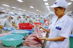Triển khai thực hiện Hiệp định Tạo thuận lợi thương mại WTO