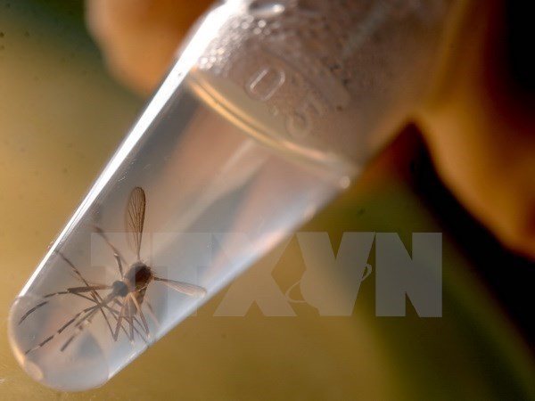 Mỹ phân bổ khoản ngân sách 1,1 tỷ USD cho phòng chống virus Zika