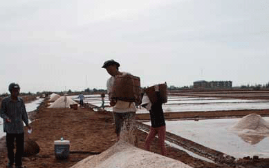 Diêm dân lao đao vì giá muối