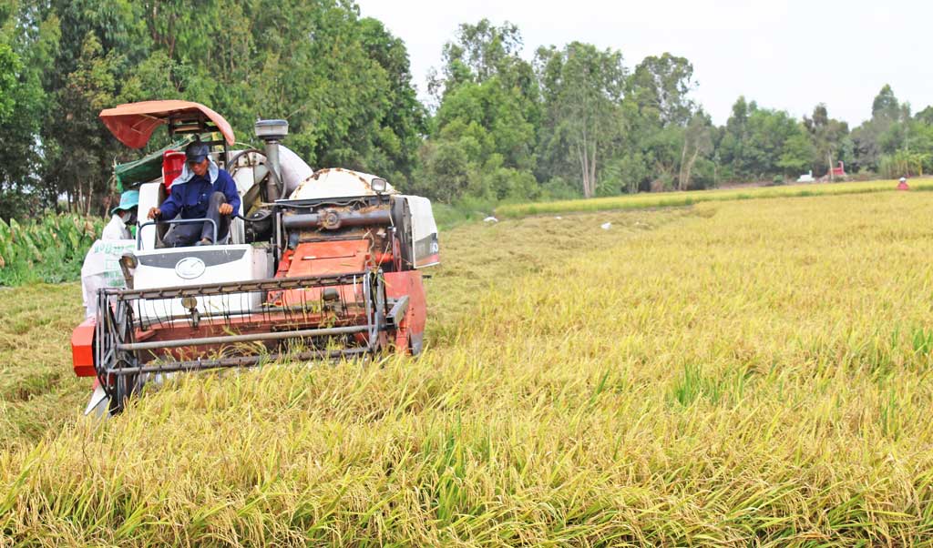 Kon Tum Hơn 38 600 lượt nông dân sản xuất, kinh doanh giỏi