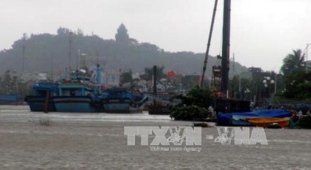 Bình Thuận Khẩn trương ứng cứu tàu cá và ngư dân gặp nạn ở khu vực gần đảo Phú Quý