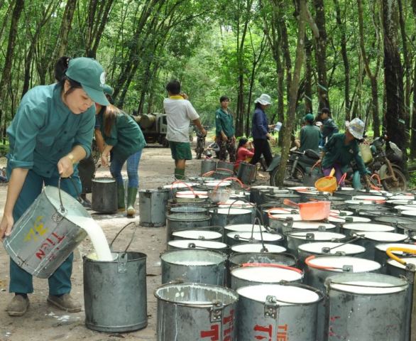 Sự cống hiến không mệt mỏi của nữ công nhân 17 năm gắn bó với nghề