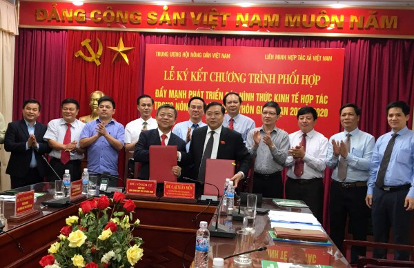 Đẩy mạnh phát triển các hình thức kinh tế hợp tác trong nông nghiệp, nông thôn